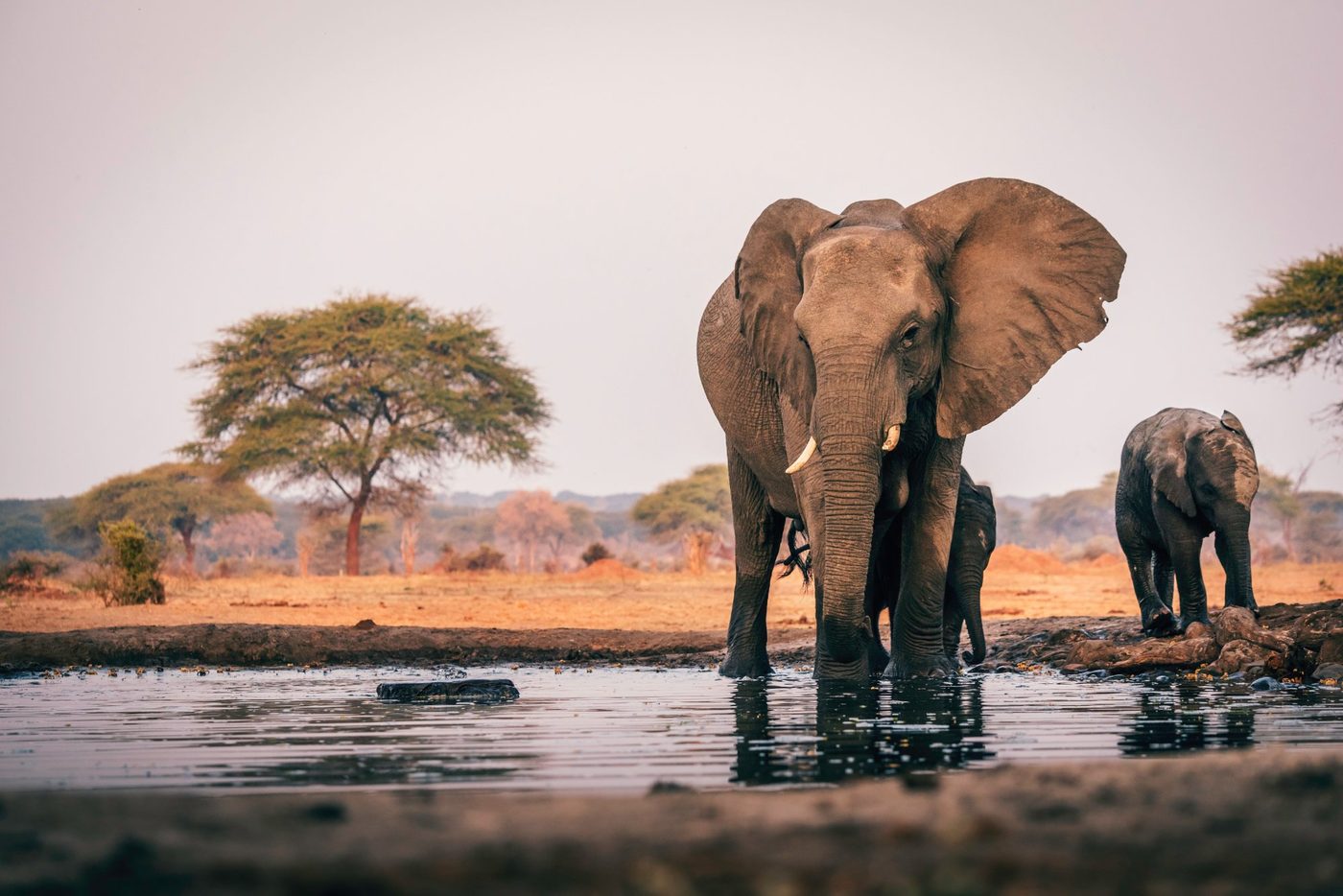 LIV Golf Africa